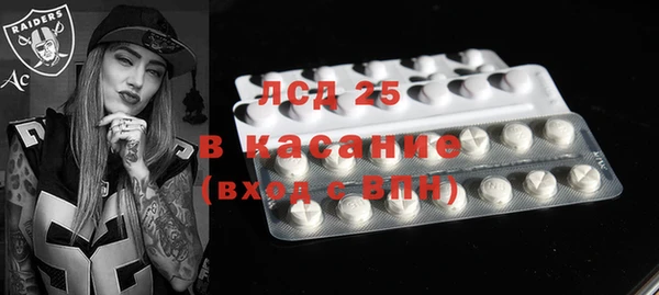 ПСИЛОЦИБИНОВЫЕ ГРИБЫ Богданович