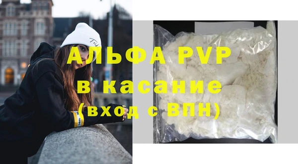 ПСИЛОЦИБИНОВЫЕ ГРИБЫ Богданович