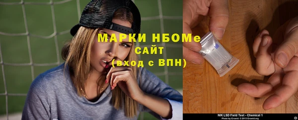 ПСИЛОЦИБИНОВЫЕ ГРИБЫ Богданович