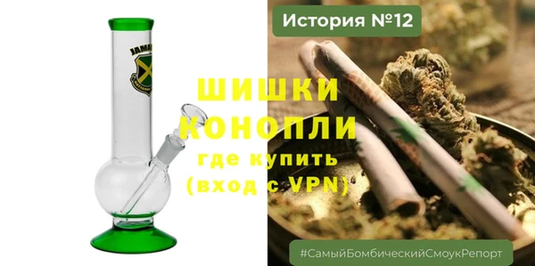 ПСИЛОЦИБИНОВЫЕ ГРИБЫ Богданович