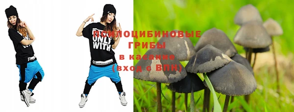 ПСИЛОЦИБИНОВЫЕ ГРИБЫ Богданович