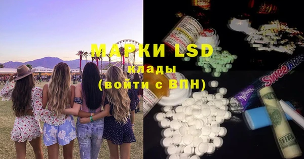 ПСИЛОЦИБИНОВЫЕ ГРИБЫ Богданович
