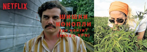 ПСИЛОЦИБИНОВЫЕ ГРИБЫ Богданович