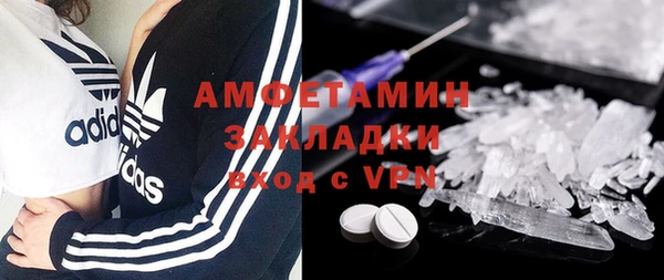 ПСИЛОЦИБИНОВЫЕ ГРИБЫ Богданович