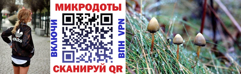 закладка  Монино  Псилоцибиновые грибы MAGIC MUSHROOMS 